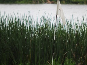 The 2015 Portage Men's Open is on Aug. 1 and 2 at the Portage Golf Club. (file photo)