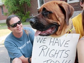 In this file photo, protesters called for stiffer penalties for those convicted of animal cruelty. Luke Hendry/Postmedia