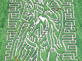 War of 1812 hero Chief Tecumseh is the subject of the Dieleman family's corn maze near Thamesville. The attraction opens to the public on Labour Day.