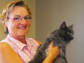 A member of the board of directors with Portage Animal Welfare Society (PAWS), Catherine Aller-Brooke, holds the cat she adopted from PAWS. PAWS is holding an adopt-a-thon on April 6 at the Herman Prior Centre in Portage la Prairie. 
(QMI Agency File Photo)