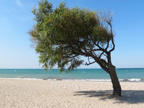 Goderich's beaches have seen less postings this summer than last year. (Postmedia Network file photo)