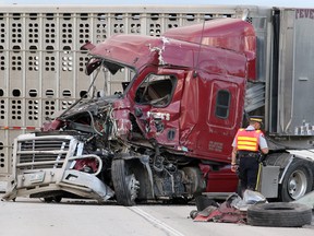 A member of the RCMP examines one of two semis that collided on the Trans Canada Highway at highway 26 west of Winnipeg Thursday September 06, 2012. (BRIAN DONOGH/WINNIPEG SUN/QMI AGENCY)