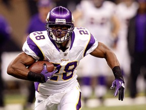 Vikings running back Adrian Peterson says he’s ready to play this week, but don’t expect the star, who is coming off a torn ACL, to see a whole lot of action right off the bat. (GETTY IMAGES)