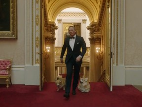 During the opening ceremonies of the London 2012 Olympic Games, the Queen's corgis made cameos along side Daniel Craig, a.k.a. James Bond. (SCREEN CAPTURE)