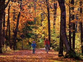 Ontario Parks report the fall colours have just started. (Ontario Parks photo)
