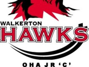 Walkerton Hawks logo