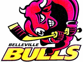 Bulls logo