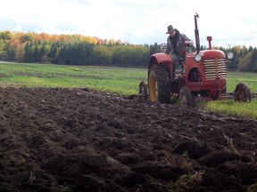 Stormont plowing match