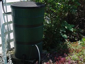 A rain barrel tucked in next to a house helps collect stormwater. (QMI AGENCY)