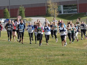 Sudbury photos cross-country finals_1