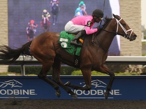 Jockey Patrick Husbands guides Delegation to victory in the Durham Cup Stakes at Woodbine Racetrack on Oct. 14, 2012.