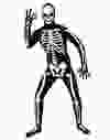 One of the Popular Halloween costumes for 2012. Super skin skeleton skin suit adult costume.  HAND OUT/SPIRIT HALLOWEEN