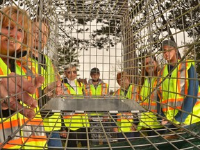 Owen Sound Feral Cat Rescue members, from left, Sharon Morden, Gary Whittaker, Sylvia Moss, James Souliere, Sheila Gordon, Deborah Fromager and Nicky Souliere photographed Tuesday through a live trap the group will use to catch cats along the banks of the Sydenham River in Owen Sound.
