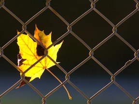 FALL WEATHER FEATURES 20121025