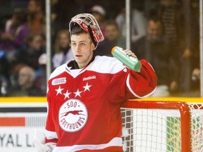 Justin Nichols of St. Catharines plays goal for the Greyhounds.