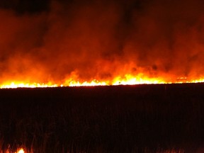 Portage RCMP announced Friday that several grass fires that flared up in St. Ambroise on Sept. 30 were not accidental. The Portage Fire Department required the assistance of crews from Elie and St. Claude to put out the blazes. (SUBMITTED PHOTO)