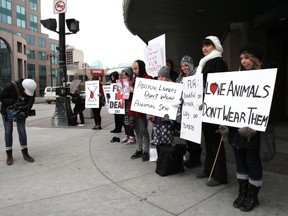 Animal rights activists with the Humane Education Network gathered outside The Bay department store in downtown Winnipeg on Saturday, Oct. 27, 2012 to protest the fur industry. (Courtesy Howard Wong)