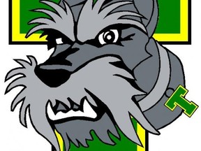 The Portage Terriers reported a loss of more than $70,000 during the previous year.