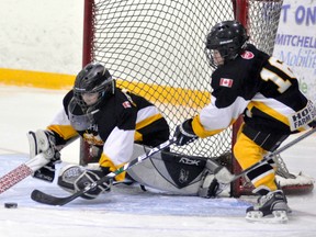 Alberta has eliminated hitting at the Peewee level