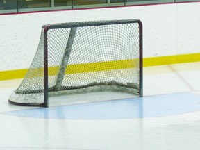 hockey net