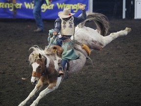 Dustin  Flundra hangs on for a ride in Saddle Bronc during the Canadian Finals Rodeo at Rexall Place in Edmonton, Alberta on Saturday, November 10, 2012 PERRY NELSON - EDMONTON SUN / QMI AGENCY