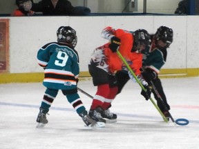 Two Paris U10 Parkhill ringette players mix it up with an opponent in November 2012. SUBMITTED PHOTO
