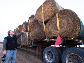 Farmer Wesley Lawrance of Lagovista Farms points to a shipment of 38 massive bales of hay, each weighing roughly 1,500 pounds, at his farm that were transported on Wednesday, Nov. 14, 2012 on BB Beach Rd. in Bailieboro. The hay was trucked from Saskatchewan.  It’s enough hay for Lawrance to feed his herd until the spring.