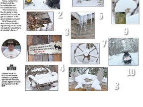 Your 10 Best Winter pics