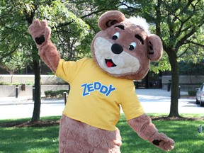 Zeddy the teddy bear of Zeller’s fame now has a double life. In Teeterville they know him as Teeter the museum bear while Camp Trillium has been awarded rights to the mascot and renamed him Barry. (Contributed photo)