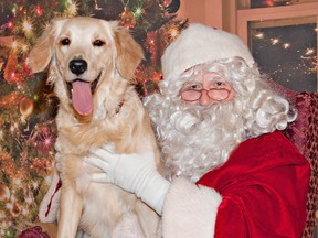 BRIAN THOMPSON, The Expositor

Maggie, a nine-month old golden retriever owned by Grant Sloan of Brantford, hops onto Santa's lap Saturday during the annual Pet Pics With Santa event at Antler Services on Roy Boulevard.  All proceeds from the event go to support the Brant County SPCA