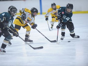 Waterford’s Keegan Scott (centre) hustles past Cayuga’s Benjamin Metcalfe and Dale Schweyer during the atom game in Waterford on Nov. 19. Scott netted three goals in the game, which Waterford won 5-1. (SARAH DOKTOR Simcoe Reformer)