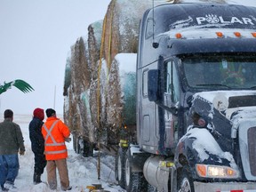 Truckers from Polar Industries -- the same truckers who star in the TV series Ice Roads Truckers -- prepare one of several donated loads of hay during a Saskatchewan snowstorm. The shipment was bound for Ontario to help drought-hit livestock farmers feed their animals this winter.