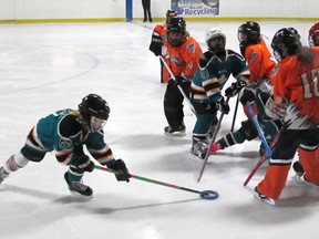 Stacey Reist and Jessica Druchok of the Paris Parkhill U10 ringette team check for the ring, eventually knocking it loose for Lillian Halsey to sneak in and get it during a game against Burlington on Sunday, Nov. 18, 2012 at Nelson Arena in Burlington. SUBMITTED PHOTO