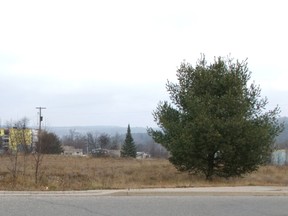 Dr. Andrew Wannan made a Request for Purchase to the city for a portion of this lot at 100 Hillside Drive South to build a veterinary clinic.
Photo by KEVIN McSHEFFREY/THE STANDARD