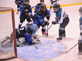 Simcoe’s Johnson Ferras (right) tips the puck past Caledonia goalie Jacob Makey during the AE atom game at Talbot Gardens on Nov. 20. The Warriors won 3-0. (SARAH DOKTOR Simcoe Reformer)