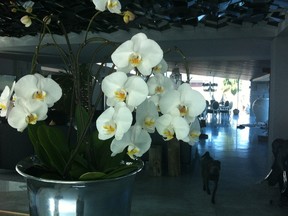 Fresh flowers, such as these orchids in Cheryll Gillespie’s foyer, bring a touch of luxury to a home.