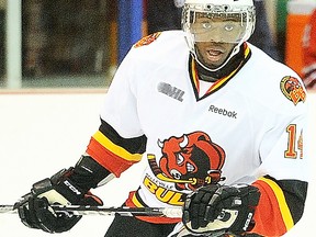 Belleville Bulls defenceman, Jordan Subban, is ranked 17th among OHL skaters in the latest NHL Central Scouting top-25 rankings. (OHL Images.)
