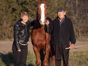 Carolyn Nugent and her father Lloyd stand with Camden Dancer, one of three champion Standardbred horses that they own and show together. All three of the father/daughter team's horses took home top prizes from this year's Royal Winter Fair in Toronto.