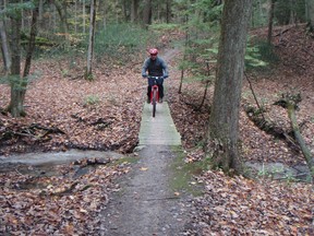 Mountain biker Dave Smyth, of Simcoe, checks out one of the trails in the former Charlotteville Township maintained by the Turkey Point Mountain Bike Club. (FILE PHOTO)