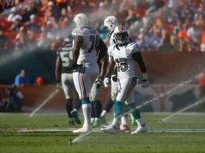 Miami Dolphins' Wide Receiver Davone Bess walks through sprinklers that came on during the second half of their NFL Football game against the Seattle Seahawks in Miami Gardens, Nov. 25, 2012. REUTERS/Andrew Innerarity
