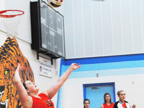 The junior Tigers volleyball team finished the season strongly, winning a silver medal.The senior girls team competed the same weekend in a tournament in Hinton and earned a berth at the Alberta Provincials in Rimbey.