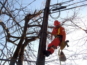 Aaron Baldwin of Brant County Power truck 44 works to restore power for residents in Long Island, New York while assisting in Hurricane Sandy relief efforts in late October and November 2012. SUBMITTED PHOTO