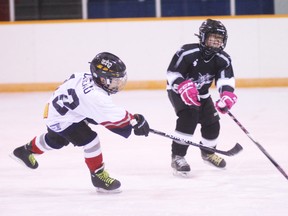 KEVIN RUSHWORTH PHOTO. The Pincher Creek Atom 1 Chinooks battled against the Taber Oil Kings on Nov. 17, ultimately coming out on top with a 6-4 final score. The youngsters are staging a comeback after losing all of their seating games