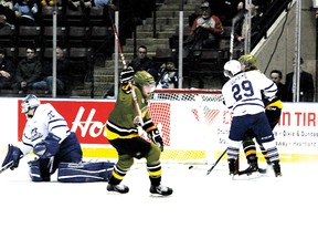 Brampton Battalion defenceman Zach Bell celebrates his third goal of the season during a 5-2 loss to the Mississauga Steelheads in Mississauga, Friday. Attendance was 2,284. The loss snapped the Battalion’s six-game winning streak. A night earlier, Battalion captain Barclay Goodrow had a natural hat trick in the team’s 3-2 win over the Eastern Conference-leading Barrie Colts.(Sean Ryan photo)