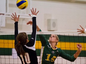 University of Alberta Panda Krista Zubick spikes against the University of Calgary Dinos during a pre-season university clash in Canmore in October. (Justin Parsons, QMI Agency)
