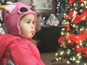 Alexis Resendes, 3, inspects the displays at the Pigeon Lake Festival of Trees at The Village on Pigeon Lake on Nov. 23 2012. SARAH O. SWENSON/WETASKIWIN TIMES/QMI AGENCY