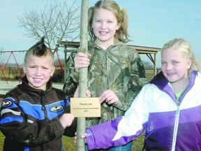 Springfield Public School Grade 5 pupil Avery Pegg, left, Grade 6 pupil Ali VanGorp and Grade 5 pupils Sydney Fehr with one of seven sugar maple trees planted at the school courtesy of a grant from TD Friends of the Environment. (Nick Lypaczewski, Times-Journal)
