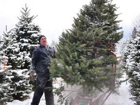 Jeff Flood operates a Christmas tree shaker, which removes dead leaves and needles.