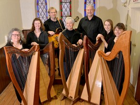 Harps in Harmony features Stewart Brown, rear left, Roger Williamson, Chris Wedow, left, Jennifer Barna, Mabel Williamson, Cara Benninger, Sue Davies and Lindsay Tannahill, who is not pictured here.