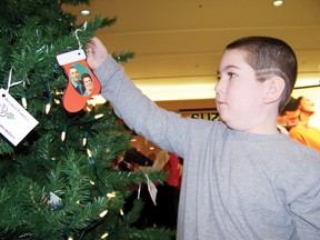 The Memory Tree in Cornwall Square commemorates the lives of lost loved ones for the Christmas holidays.
Staff file photo